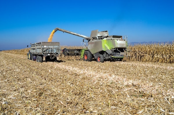 ethanol-corn-farming
